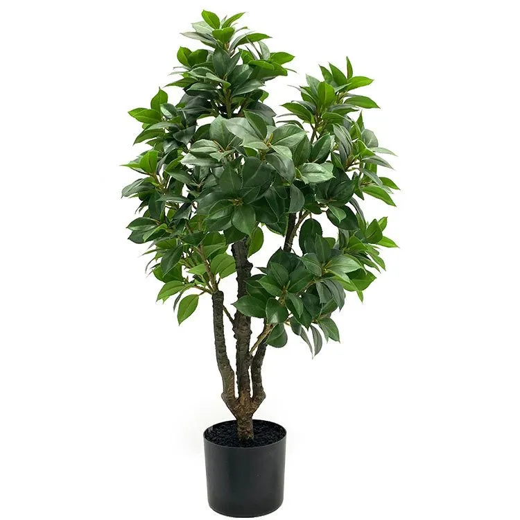 Ficus artificiale
