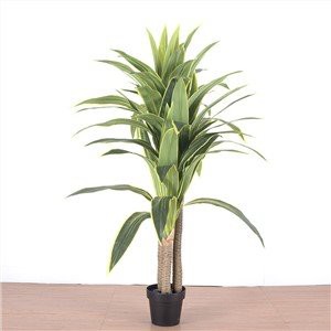 Dracaena Fragrans artificiale