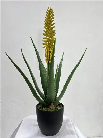 Bonsai di fiori di aloe artificiale